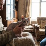 D&eacute;couvrez le chat le plus moche du monde