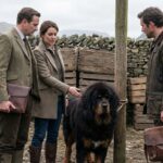 Quel est le prix d'un mastiff tibétain en 2023 ?