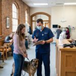 Tarifs des consultations à l'école vétérinaire de maisons-alfort