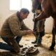 Comprendre la fourmilière chez le cheval : causes et solutions