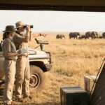 Comprendre la gestation des &eacute;l&eacute;phants : tout ce qu'il faut savoir