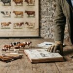 Comprendre le tableau des races de vaches