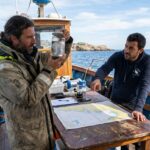 Comprendre la fausse m&eacute;duse en m&eacute;diterran&eacute;e