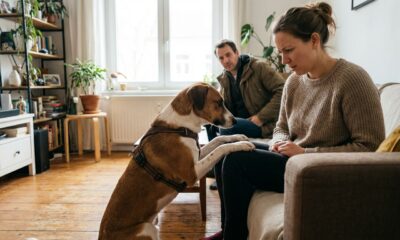 Pourquoi ma chienne fait des mouvements de bassin sur moi ?