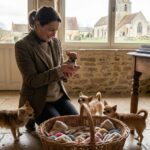 Tout savoir sur l'&eacute;levage de chihuahua en france