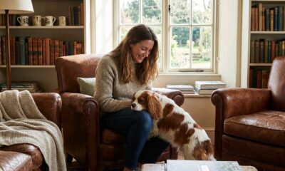 Tout savoir sur le cavalier king charles : un compagnon idéal