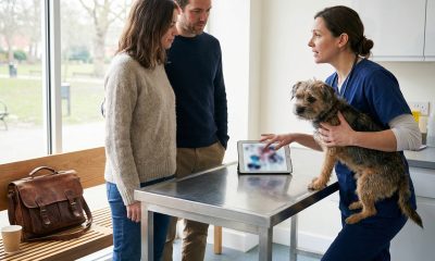 Chien trisomique : réalité ou mythe ?