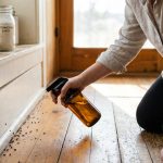 Comment se débarrasser des fourmis dans la maison efficacement