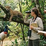 Découvrez les animaux en j : fascinants et uniques