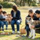 Shiba inu et akita : quel chiot choisir pour votre famille ?