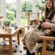 Tout savoir sur coco chat : le chat gratuit et sans inscription