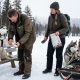 Tout savoir sur le husky de sibérie : caractéristiques et soins