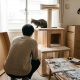 Acheter l'arbre à chat gifi : le guide complet