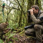 Découvrez les animaux commençant par la lettre q