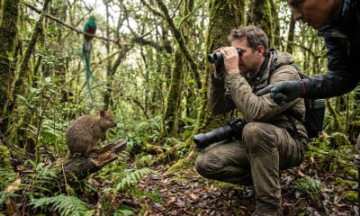 Découvrez les animaux commençant par la lettre q