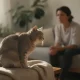 Le chat sent-il sa mort venir ? découvrez les signes
