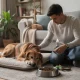 Mon chien ne mange plus et reste couché : que faire ?