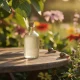 Anti-limace vinaigre : la solution naturelle qui fonctionne vraiment