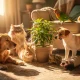Animal de compagnie : top 7 à adopter en 2026