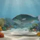 Poisson gros front : cet incroyable labre aux multiples facettes